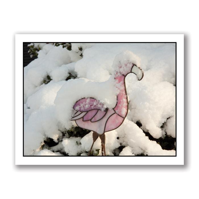 Photo Greeting Card Of Glass Flamingo by Kurt Neumann 